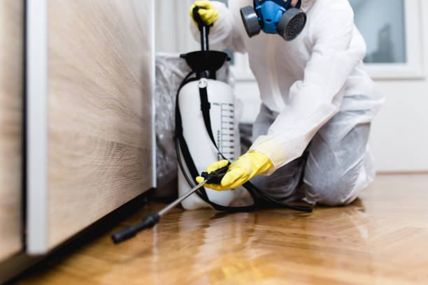 Reliable Jackson, LA Pest Control Solutions