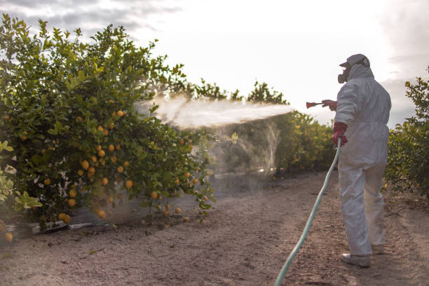 Best Bed Bug Extermination  in Jackson, LA