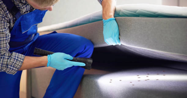 Best Best Pest Control Companies  in Jackson, LA