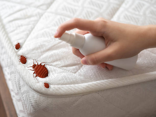 Best Affordable Pest Control Services  in Jackson, LA