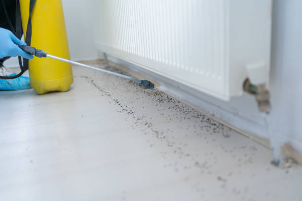 Best Emergency Pest Control  in Jackson, LA