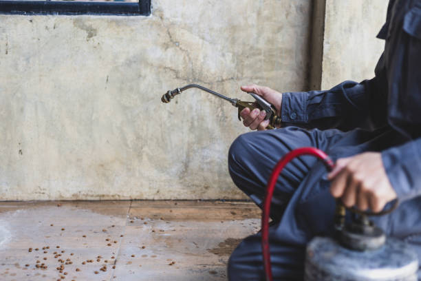 Best Termite Control Services  in Jackson, LA